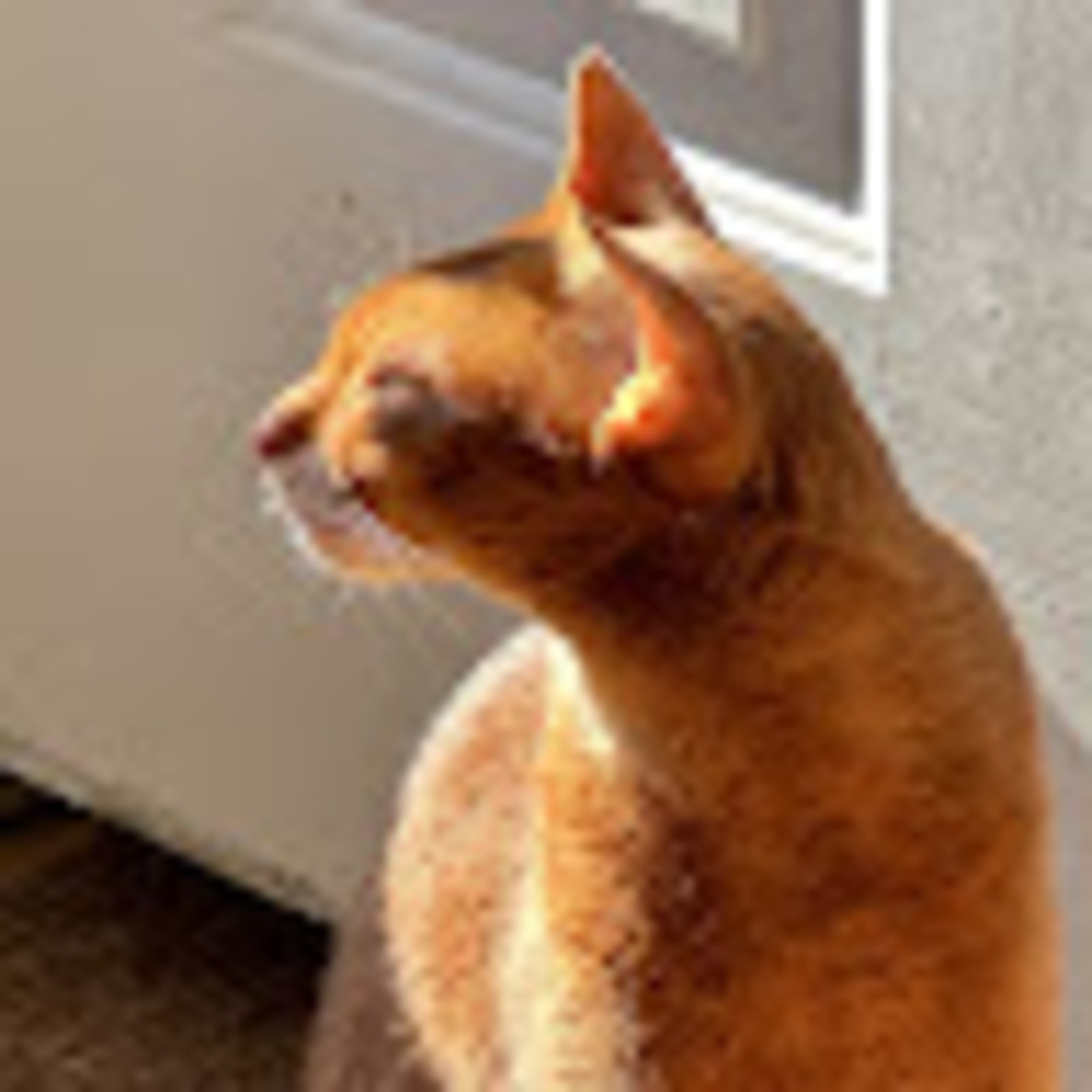 Meet your Posher, Clare